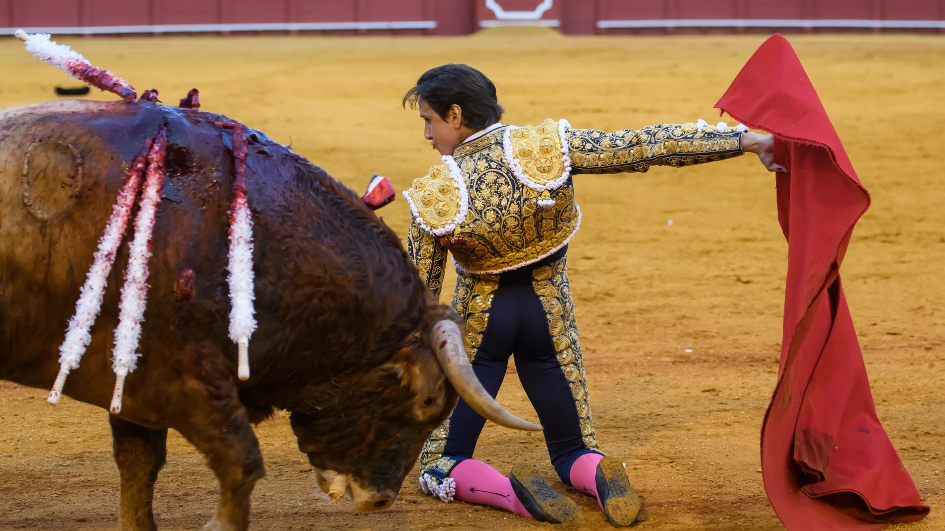 SEVILLA, 21/04/2023.- El diestro peruano Andrés Roca Rey con su segudo toro, este viernes en la Real Maestranza de Sevilla. EFE/ Raúl Caro
