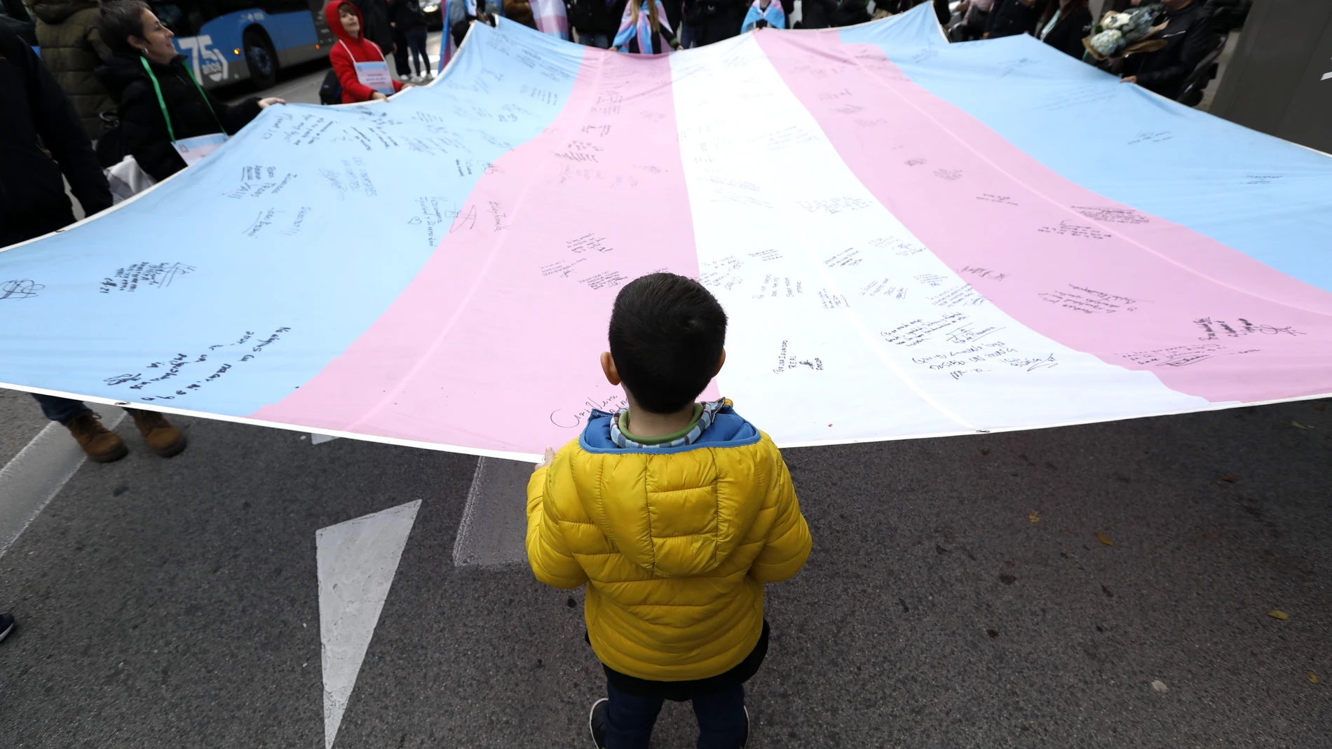 Manifestacion en Madrid en favor de la aprobacion de la "Ley Trans".