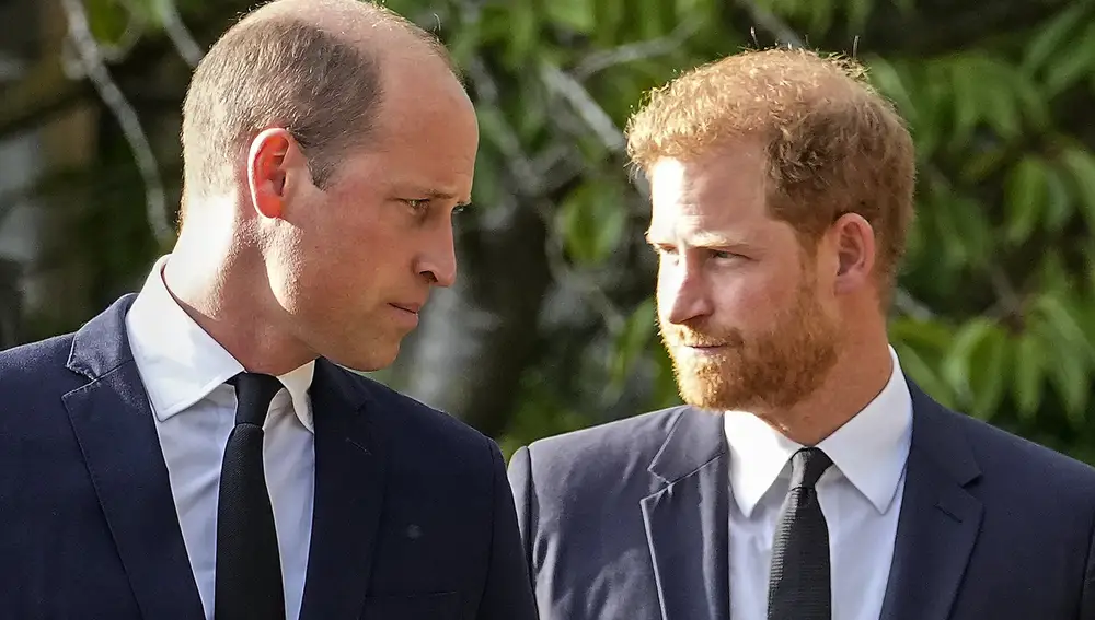 Britain's Prince William and Britain's Prince Harry 