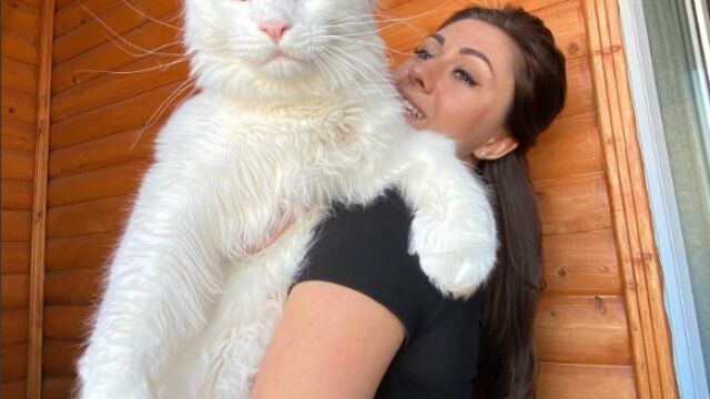 Yulia y su gato Kefir