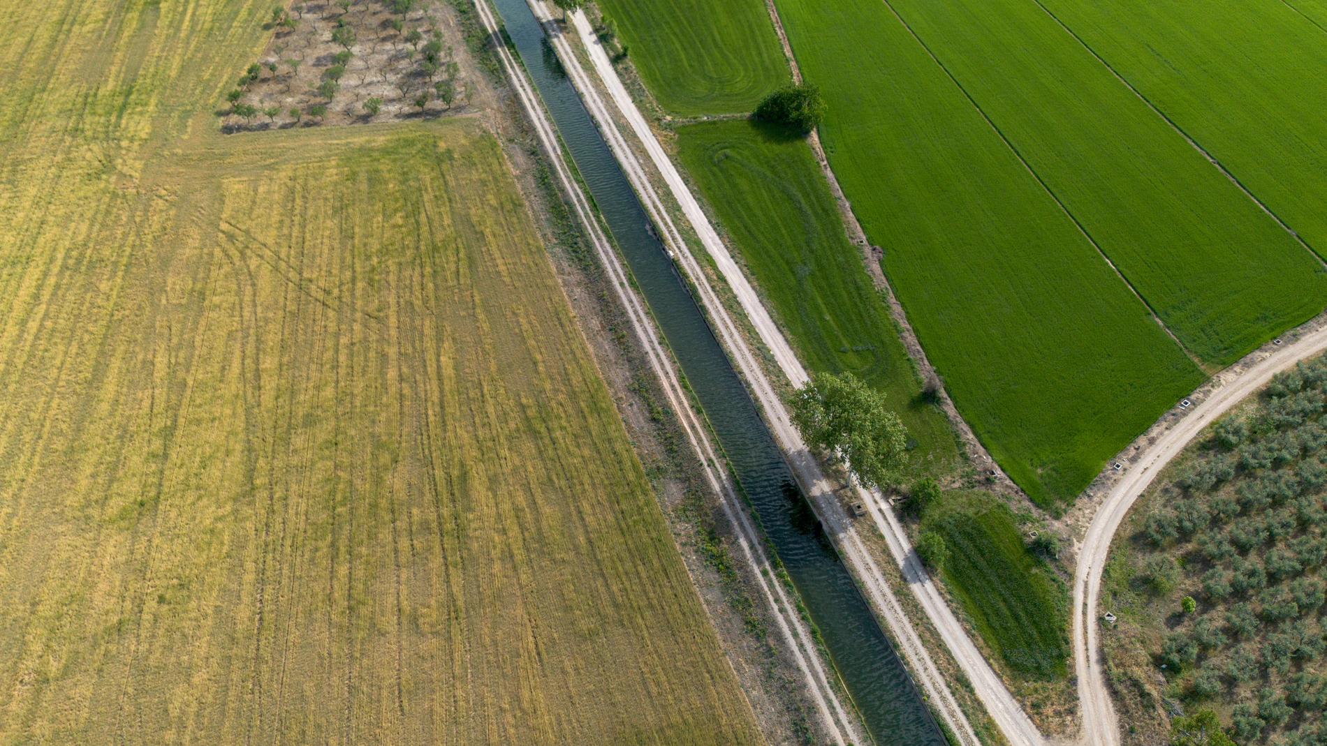 Vista del Canal d'Urgell, a 28 de abril de 2023, en Anglesola, Lleida, Catalunya (España). Ha cerrado el Canal d’Urgell para el uso agrario a causa de la bajada de caudal provocada por la sequía. Es la primera vez que esta infraestructura se cierra en 160 años. Sólo hay 12 metros cúbicos de agua por segundo y bajará incluso a dos metros cúbicos si no llueve próximamente. El sindicato Unió de Pagesos ha pedido asegurar la alimentación y el agua para la ganadería extensiva, proponiendo un peritaje de la pérdida prevista de la cosecha de cereal, y que se permita el aprovechamiento de pasto para la ganadería extensiva. 28 ABRIL 2023;SEQUÍA;AGUA;GANADERÍA;AGRICULTURA;CEREAL;CULTIVO Lorena Sopêna / Europa Press 28/04/2023