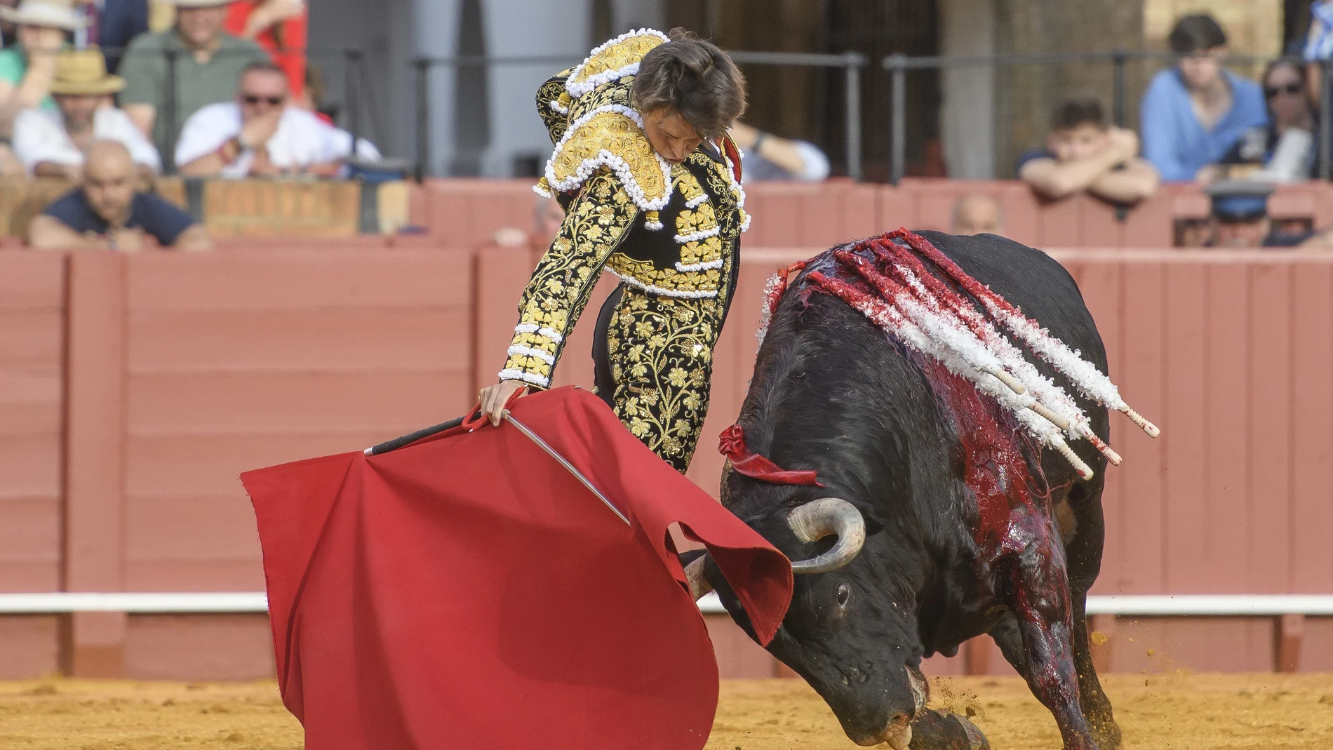 El diestro Roca Rey da un pase con la muleta a su primer toro, este viernes en la Real Maestranza de Sevilla. 