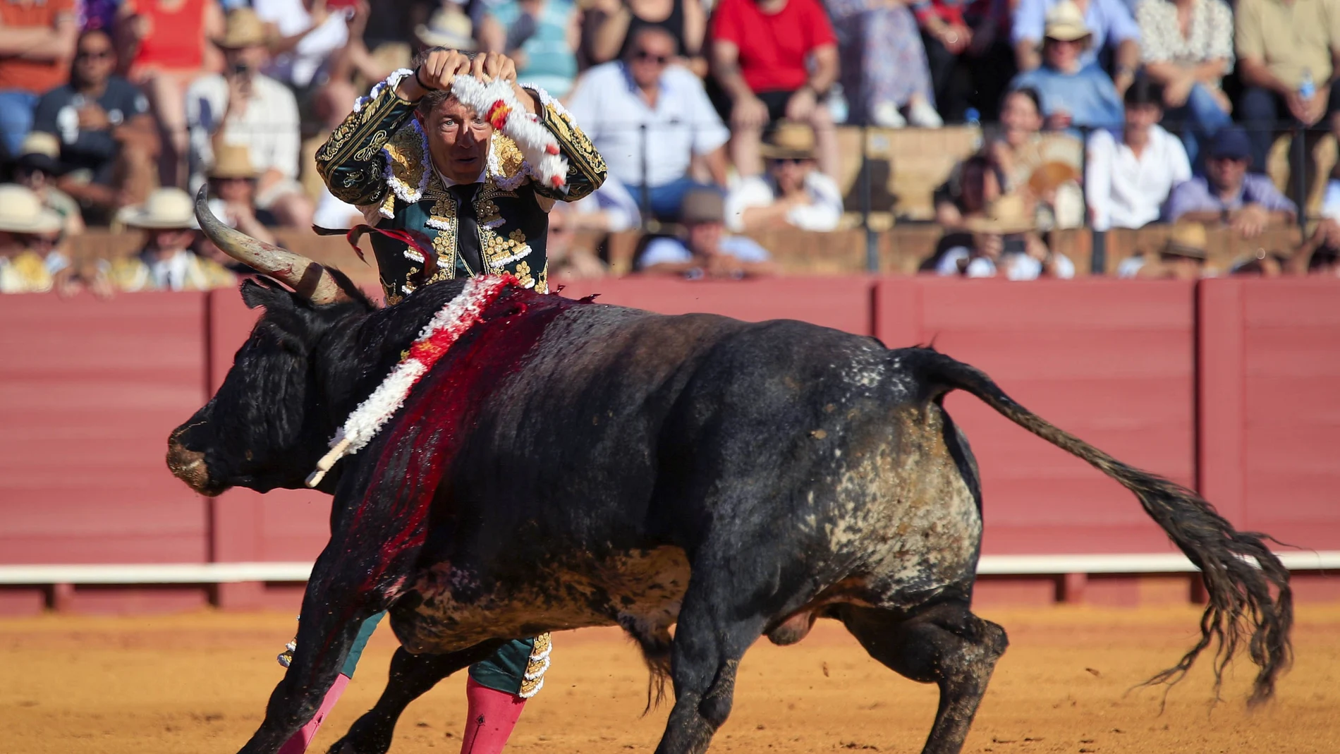 El diestro Manuel Escribano clava las banderillas a su primer toro, de la ganadería de Miura, en la decimoquinta corrida de abono de la Feria de Abril esta tarde en la plaza de la Real Maestranza de Sevilla.