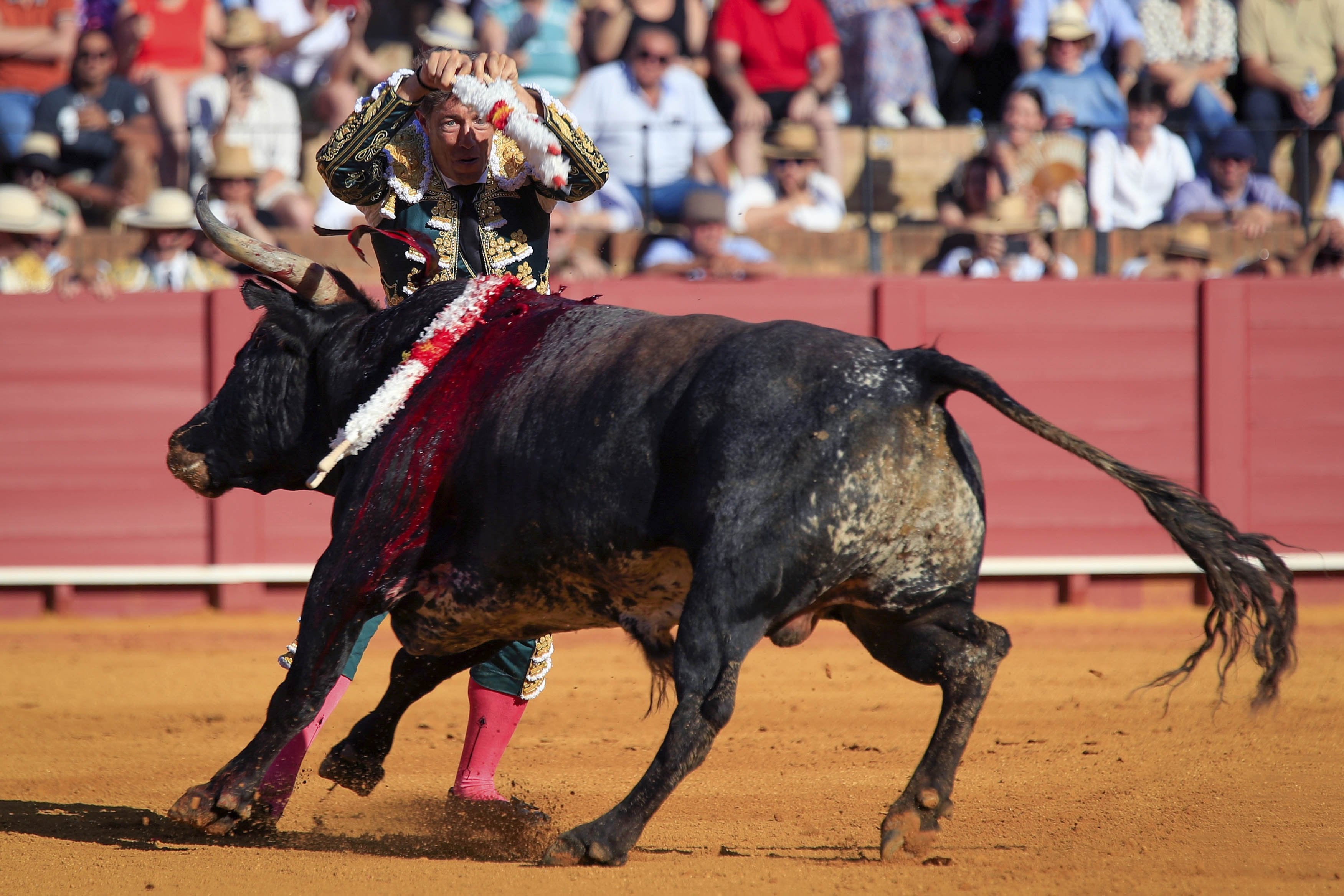 Escribano, la explosión con Miura como colofón de la Feria de Abril foto