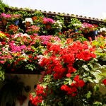 Comienza la Fiesta de los Patios de Córdoba