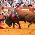 Piden a TVE desconectar la señal en Cataluña de las corridas de toros 
