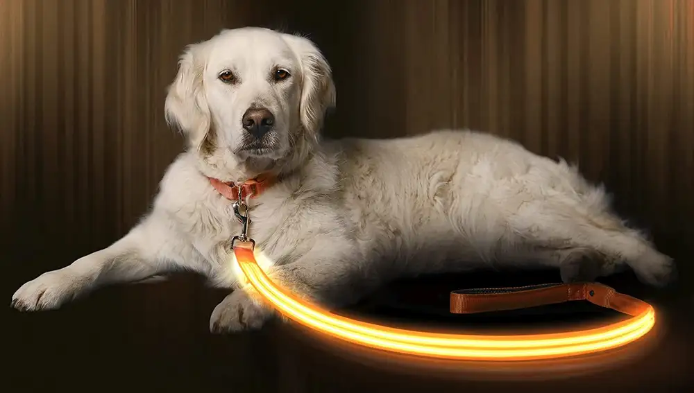 Correa fluorescente LED para perros de Safe & Seen.