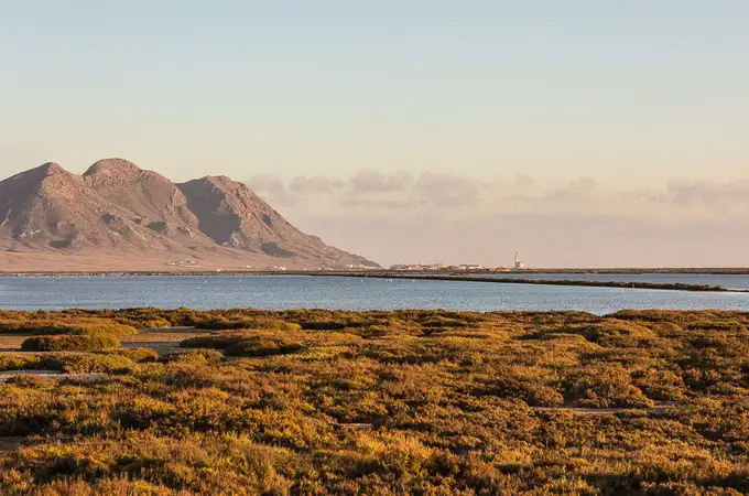 Las Salinas de Cabo de Gata recuperan su ecosistema