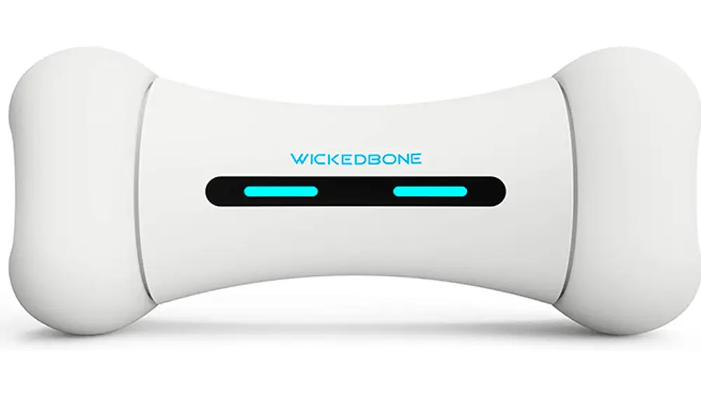 Hueso interactivo Wickedbone.