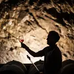 Junto al río Duero se elaboran algunos de los mejores vinos del mundo