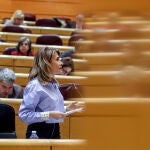 AMP.- El Senado reprueba a Raquel Sánchez por las incidencias en Rodalies, con un frente común de PP e independentistas