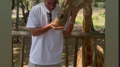 Asensio posa con una jirafa para felicitar a Courtois