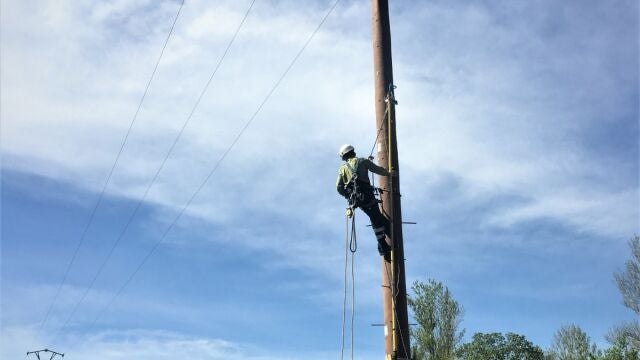 Instalado el primer tendido eléctrico que protege a las aves
