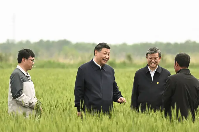 Xi Jinping continúa con su implacable «caza de moscas, tigres y zorros»