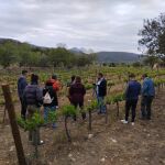 Alumnos y profesores del Grado de Viticultura del IES La Rambla de San Esteban de Gormaz visitan el Valle del Ródano, en Francia