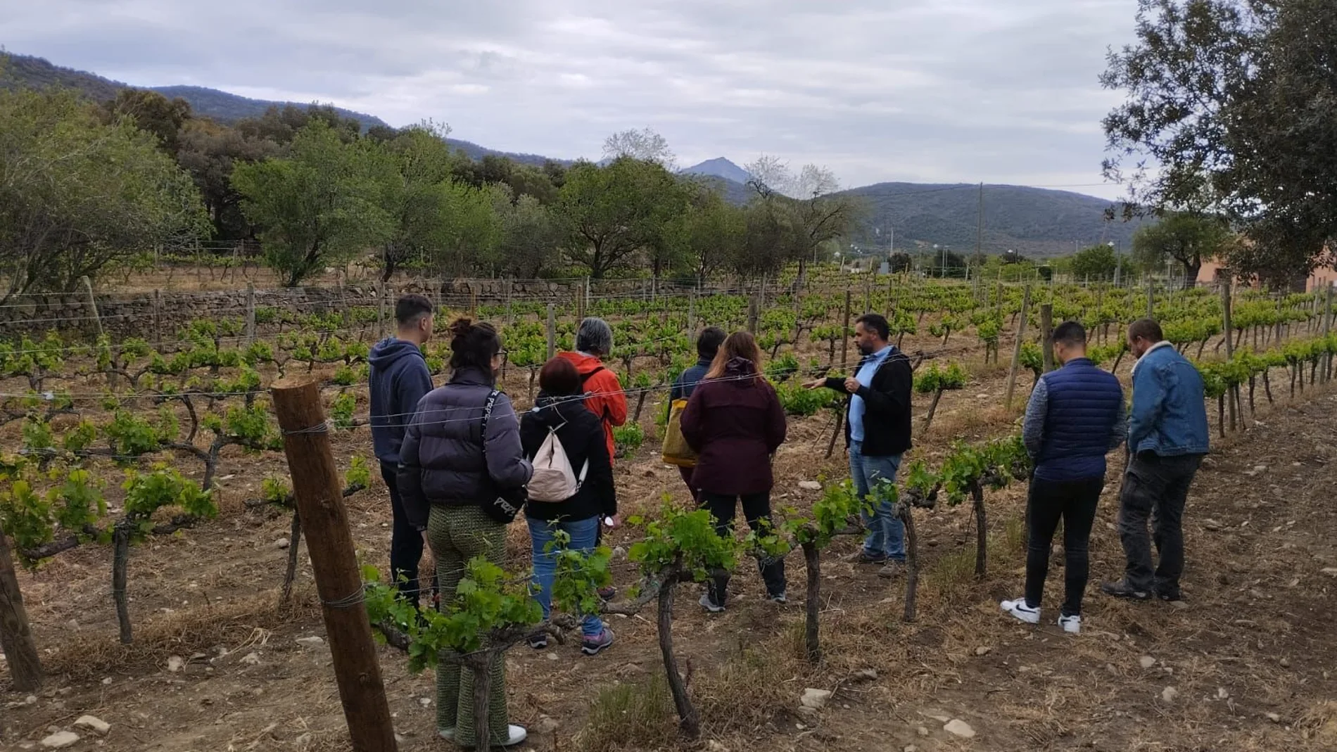 Alumnos y profesores del Grado de Viticultura del IES La Rambla de San Esteban de Gormaz visitan el Valle del Ródano, en Francia