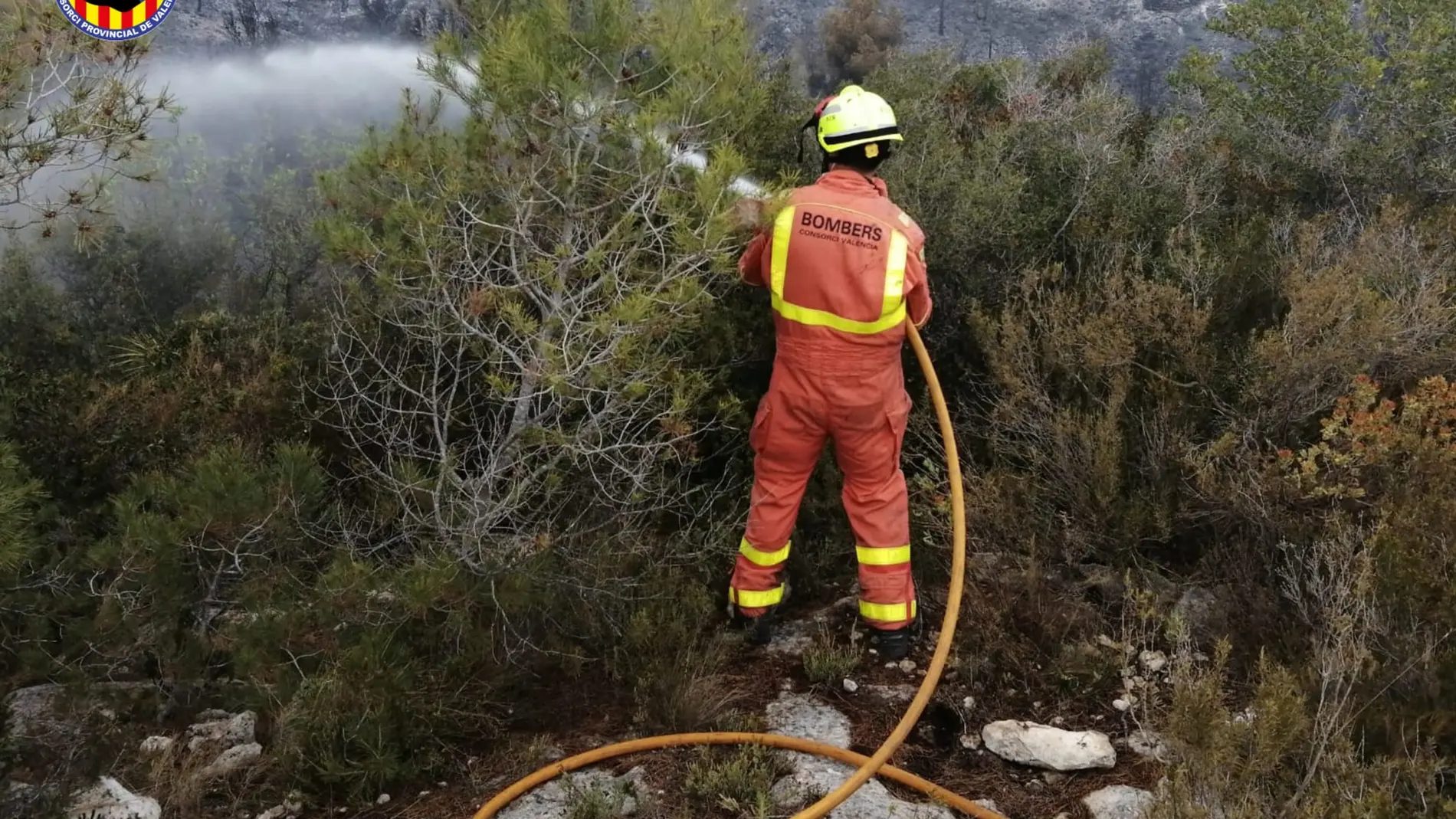 Un bombero moja la zona en Alfarp