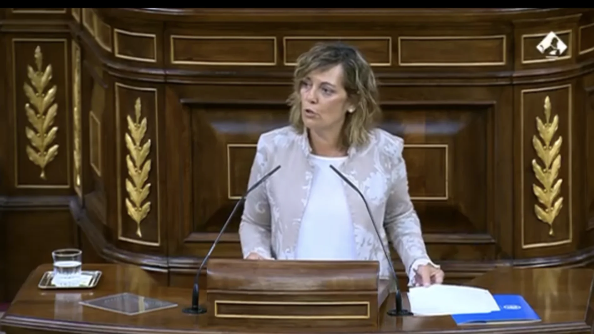 La portavoz de Agricultura del GPP; Milagros Marcos, interviene en el pleno