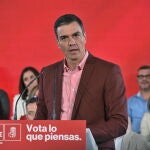 Pedro Sánchez participa en un mitin del PSOE en Alcalá de Henares
