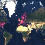Mapa mundial sobre insectos acuáticos