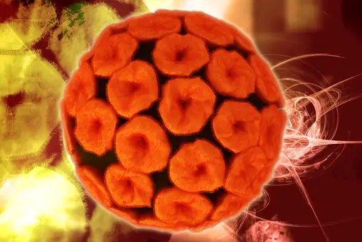 ¿Qué es el virus del papiloma humano?