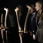 Los restos fósiles incorporados en el Museo de la Evolución Humana
