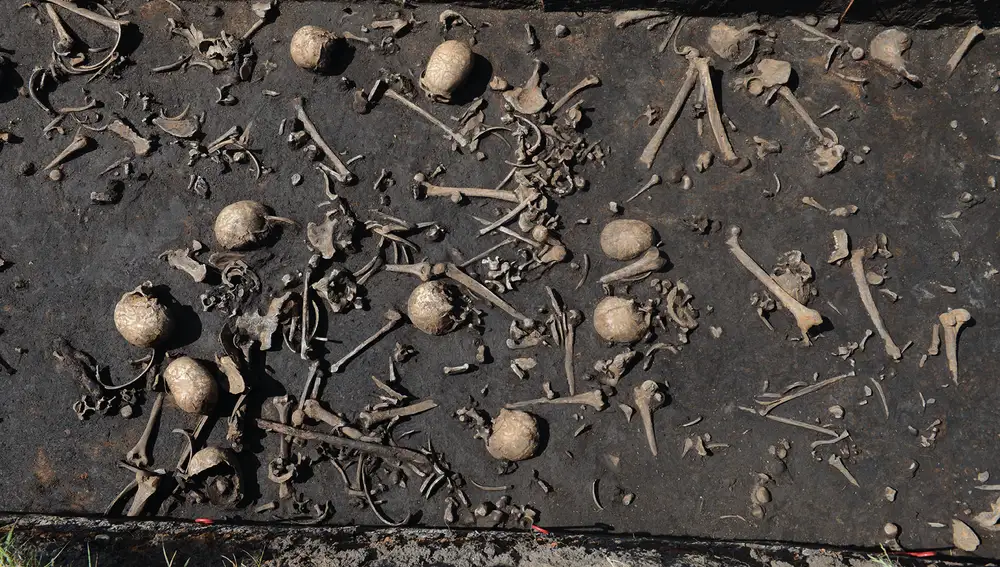 Cadáveres en el barro, caídos en la batalla de la Edad del Bronce del valle de Tollense