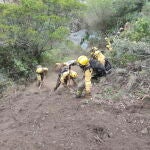 Varios bomberos de las Brigadas de Refuerzo de Incendios Forestales (BRIF) luchan contra el fuego en la comarca de Las Hurdes (Cáceres)