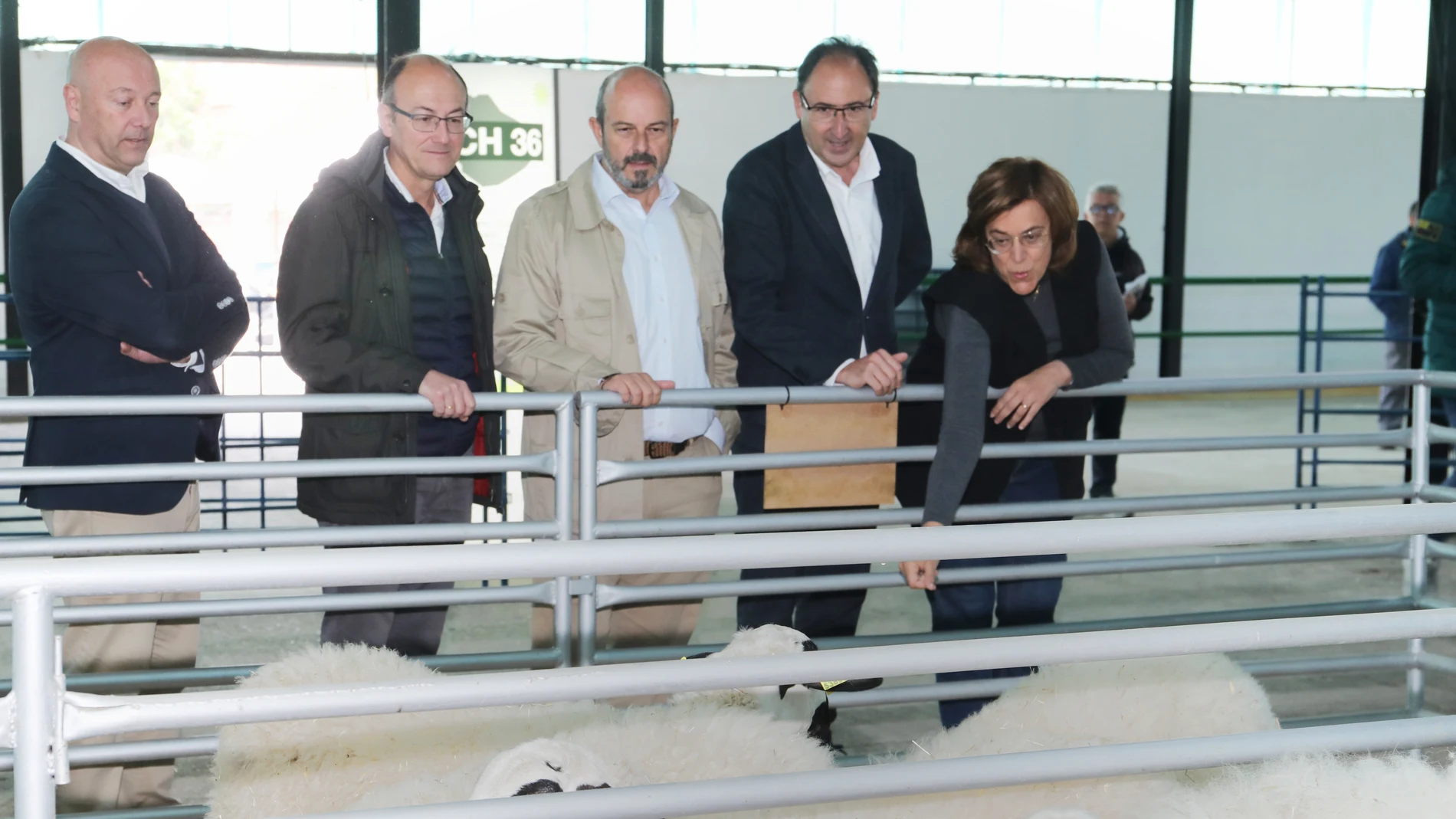 El vicesecretario de Coordinación Autonómica y Local del Partido Popular, Pedro Rollán, apoya a Alfonso Polanco en su candidatura a la Alcaldía de Palencia y realiza una visita al mercado de raza churra, en compañía de la presidenta provincial del partido, Ángeles Armisén, entre otros