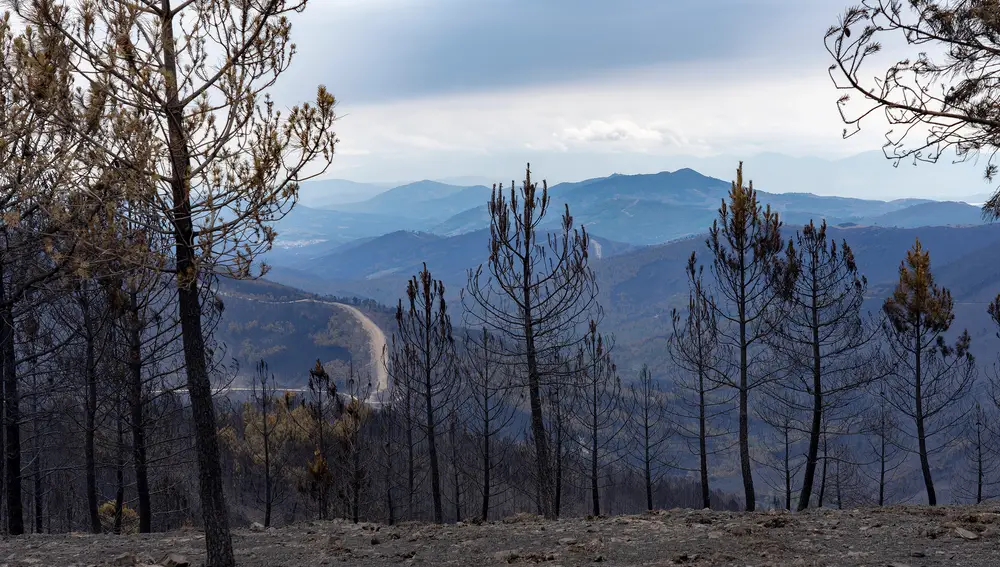 El incendio de las Hurdes y Sierra de Gata sigue controlado