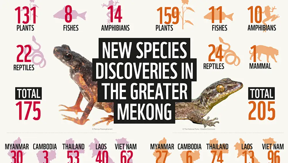 Las nuevas especies descubiertas en el Gran Mekong