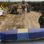 Se les atribuye la presunta autoría de sendos delitos de defraudación a la Seguridad Social, de favorecimiento de la inmigración irregular