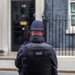 R.Unido.- Un coche se estrella contra las puertas de acceso a Downing Street