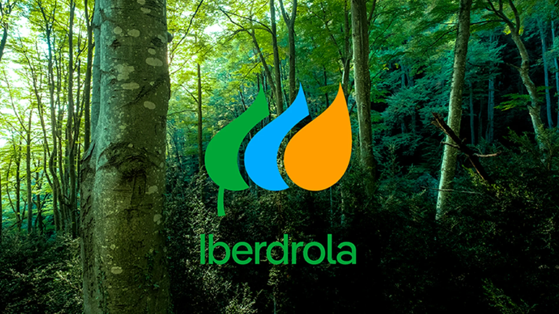Nuevo logotipo de Iberdrola