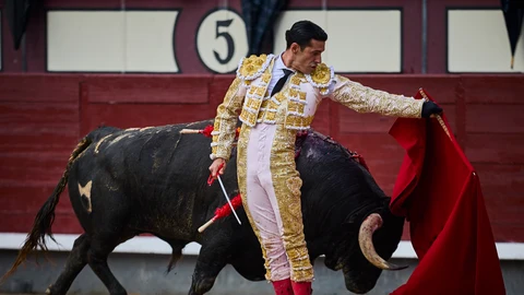 Alejandro Talavante. Toros en las Ventas. Feria San Isidro
