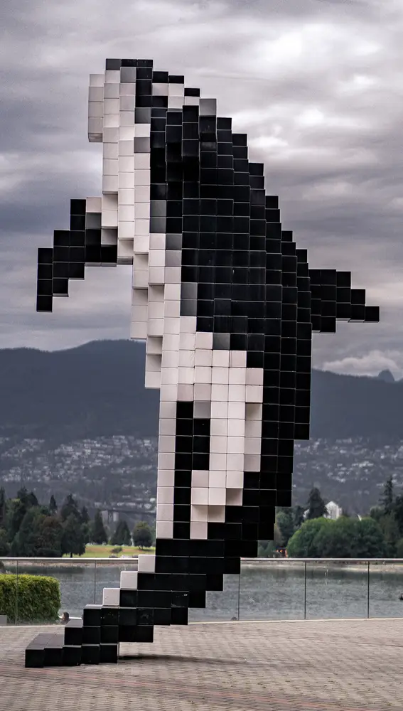 La orca digital, Vancouver