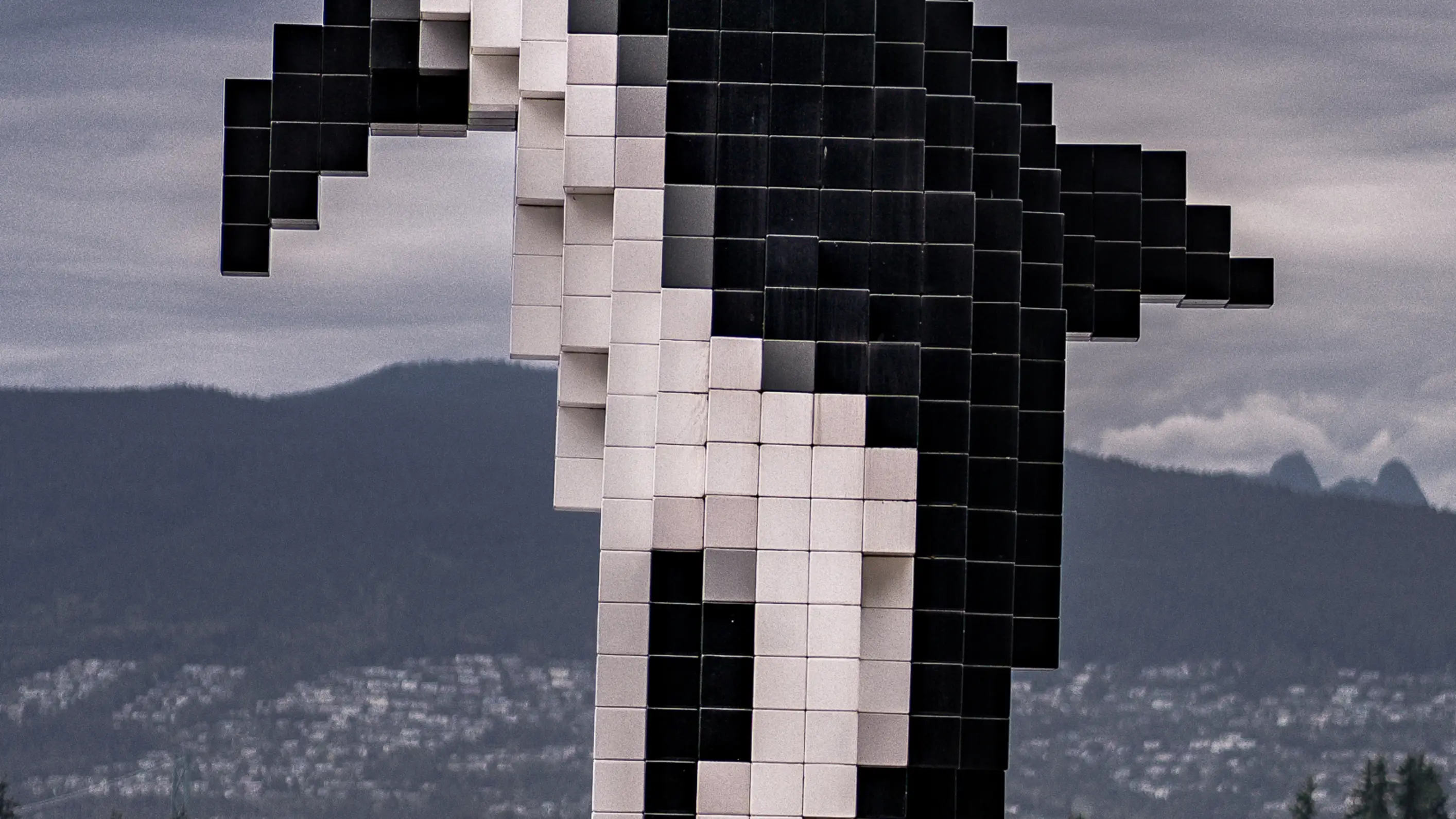 La orca digital, Vancouver