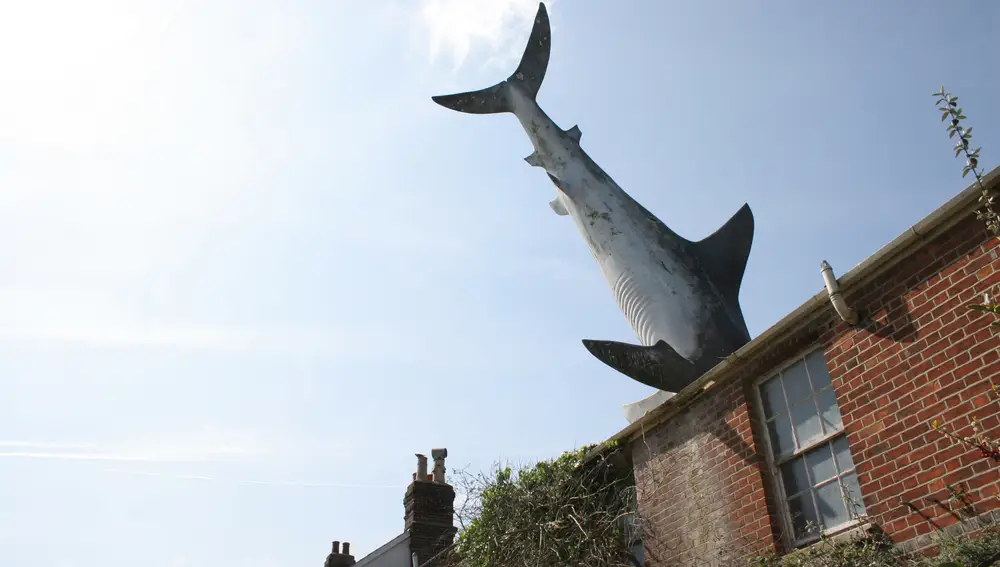 Tiburón Headington, Oxford, Inglaterra