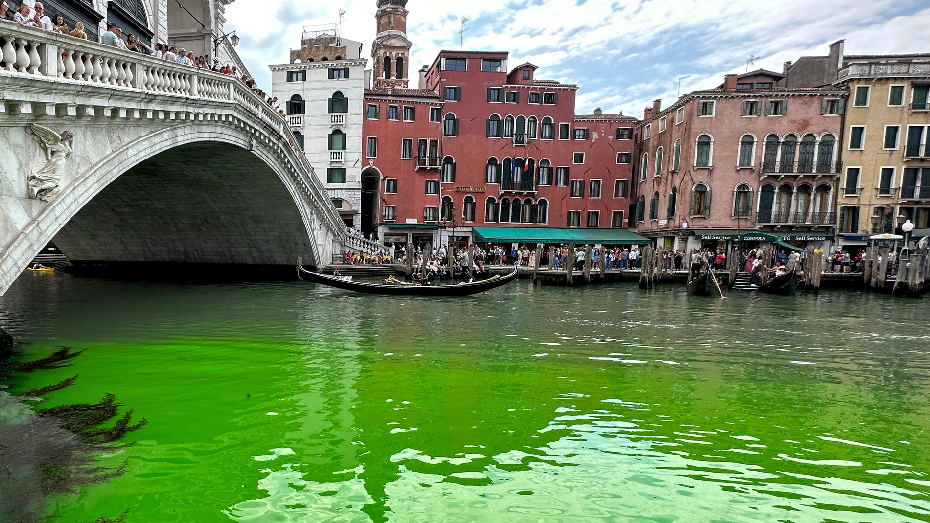 Los canales de Venecia amanecen teñidos de verde