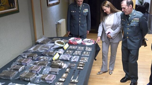 Operación ‘LUBINABUR’, presentada por la delegada del Gobierno en Castilla y León, Virginia Barcones