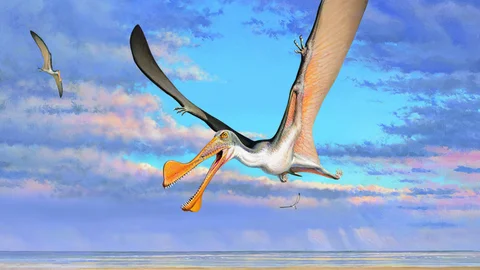 Reconstrucción de un pterosaurio australiano