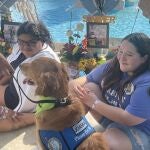 Una mujer acaricia un perro de consuelo, el 24 de mayo de 2023, en la Plaza Uvalde (EE.UU.). No son psicólogos expertos en traumas pero logran con su sola presencia calmar ambientes tensos y rebajar la tristeza. Son los "comfort dogs" (perros de consuelo o terapia), que en Estados Unidos tienen una especialización: los tiroteos masivos
