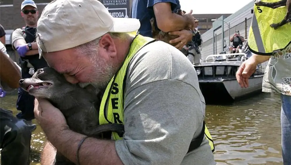 Imagen del reencuentro de un perro con su dueño tras el Huracán Katrina