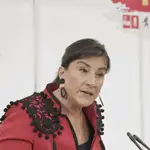 La secretaria de Organización del PSOE de Castilla y León, Ana Sánchez, atiende a los medios