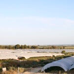 Invernaderos de fresas del entorno de Doñana