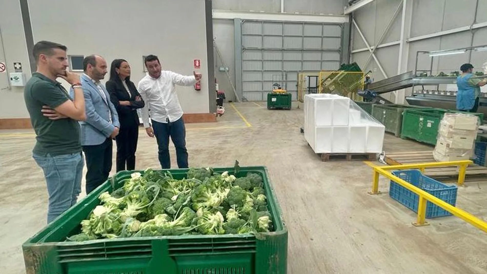 La consejera en funciones de Empresa, Economía Social y Autónomos, Valle Miguélez, en la visita a la empresa Inverfresh Marketing