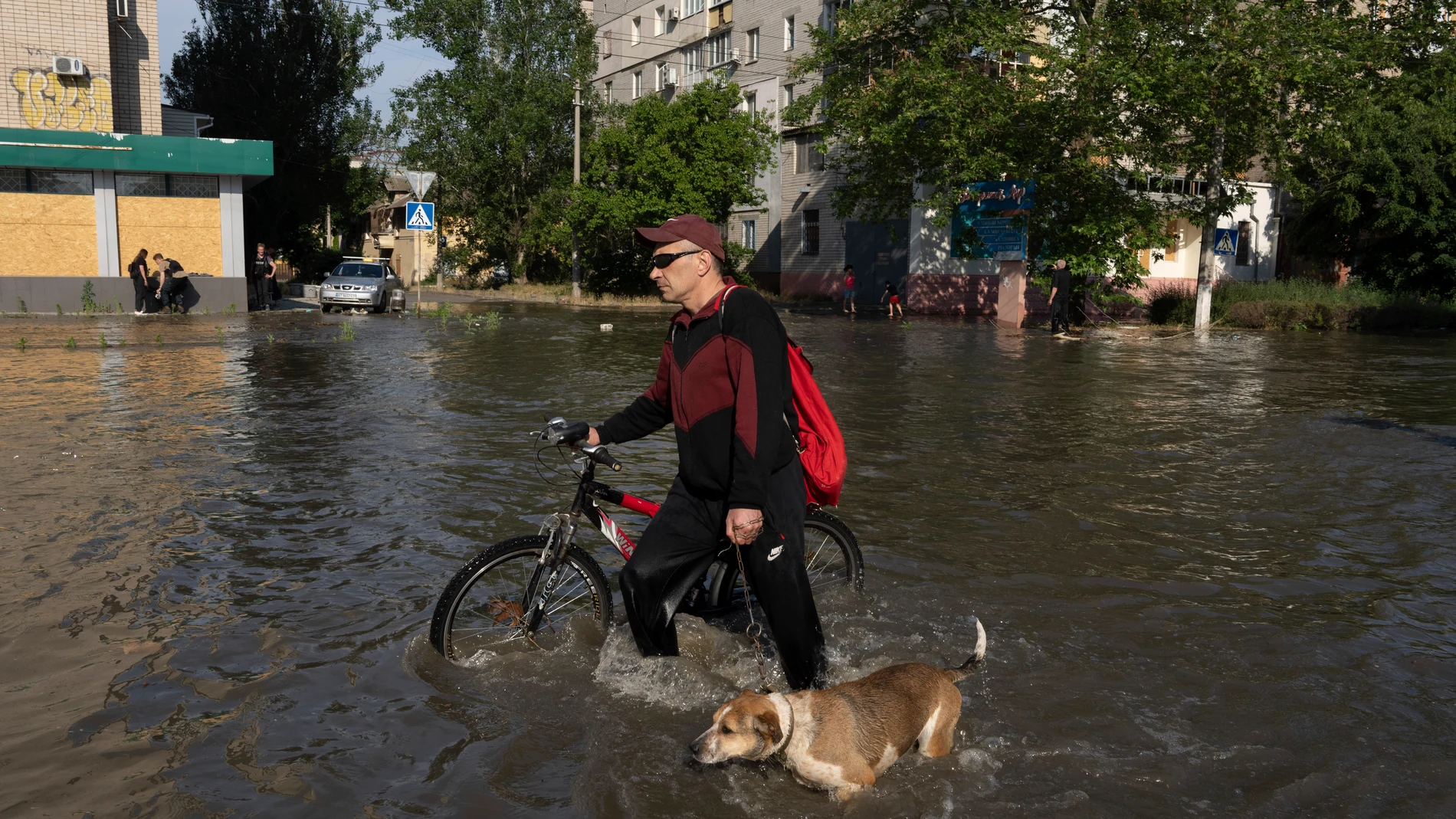 A local resident with a bike and a dog walks along the street past the buildings in Kherson, Ukraine, Tuesday, Jun 6, 2023 which were flooded after the Kakhovka dam was blown up overnight. The wall of a major dam in a part of southern Ukraine has collapsed, triggering floods, endangering Europe's largest nuclear power plant and threatening drinking water supplies. (AP Photo/Evgeniy Maloletka)