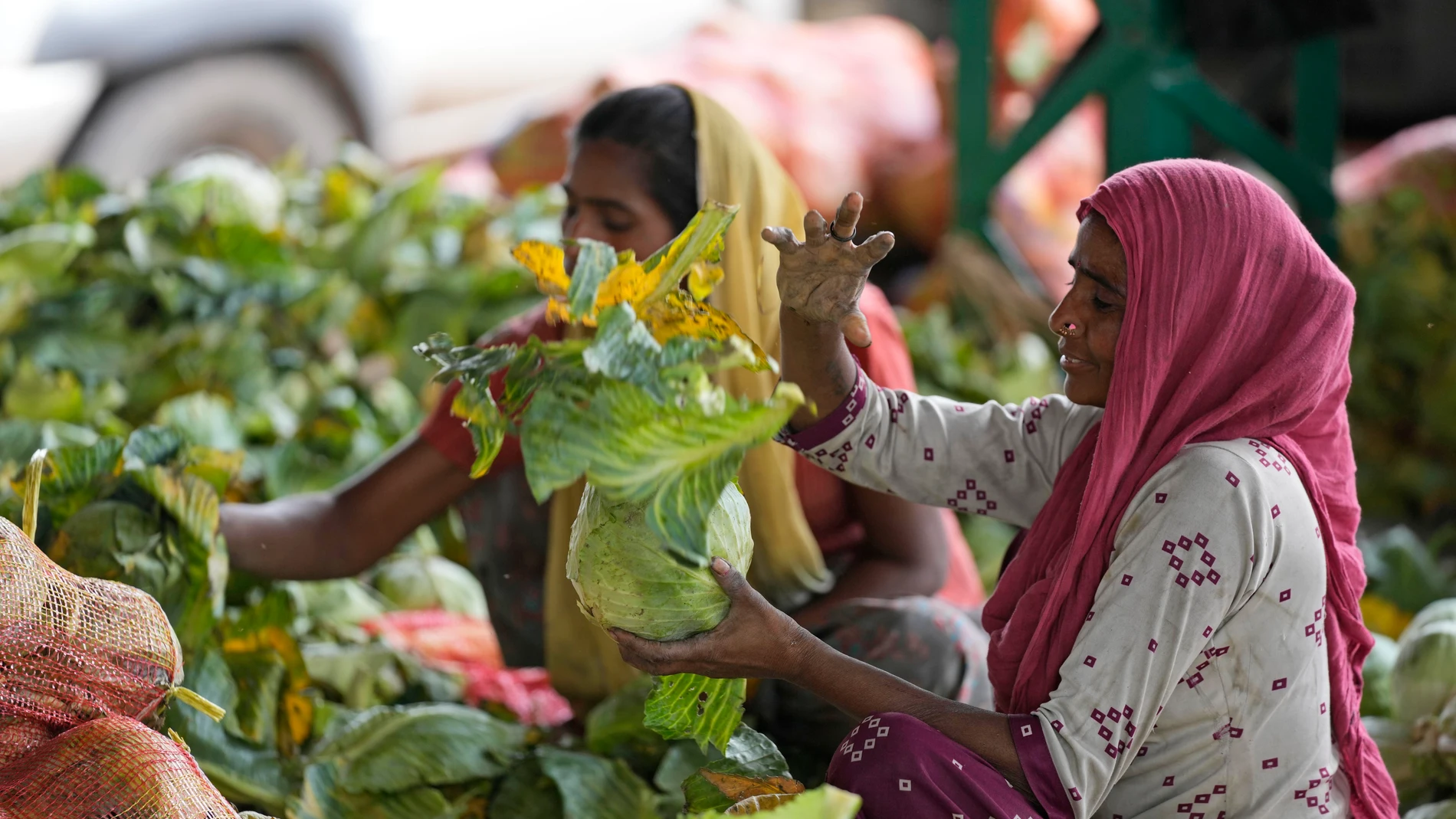 A woman sorts cabbage at a wholesale market in Jammu, India, Wednesday, June 7, 2023. (AP Photo/Channi Anand)