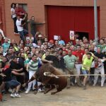Miles de personas disfrutan en Benavente del Toro enmaromado