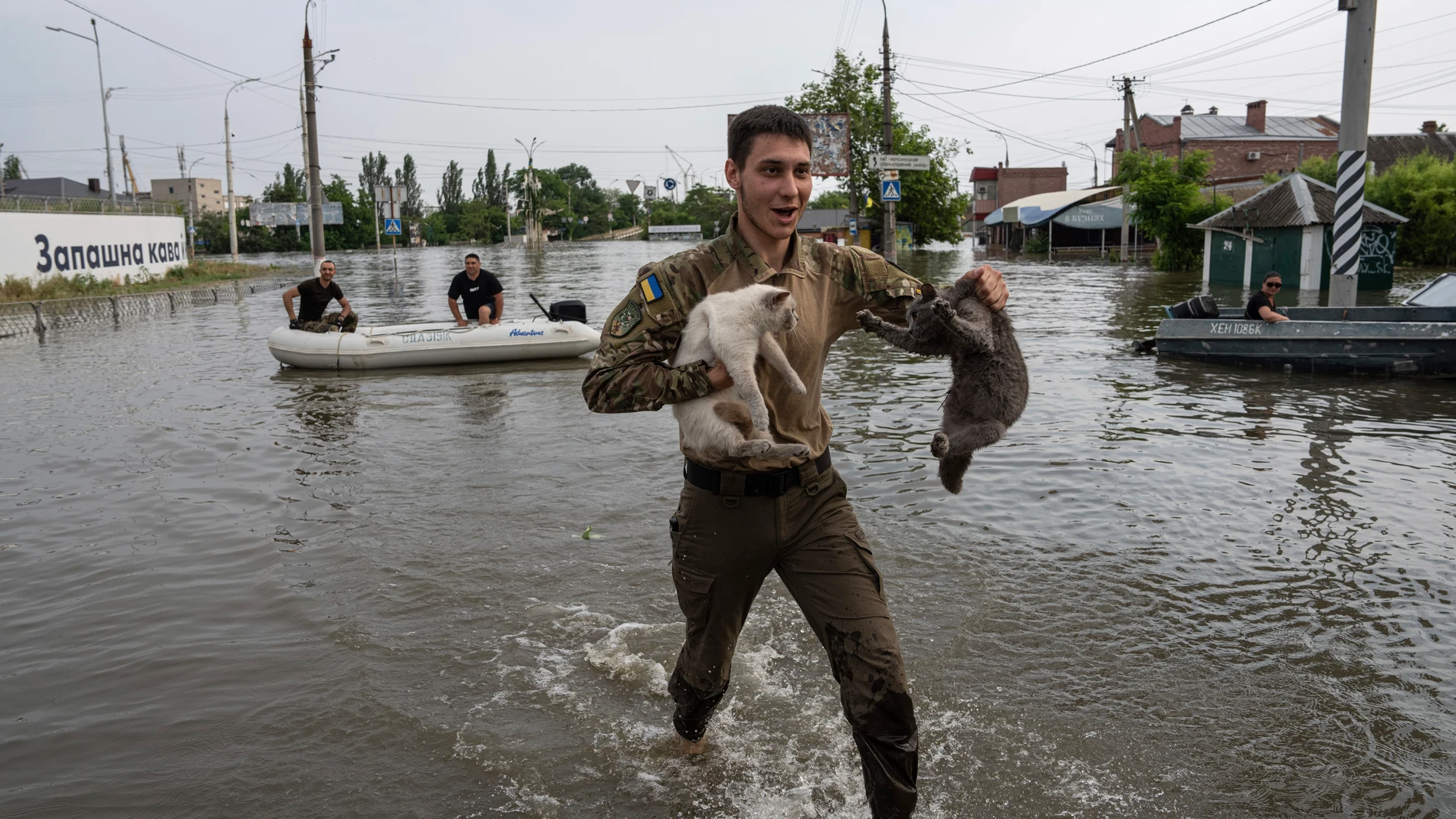 Un voluntario rescata gatos de las inundaciones en Jarsón